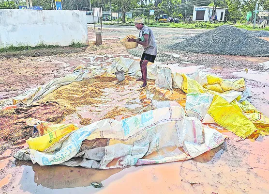 రైతు