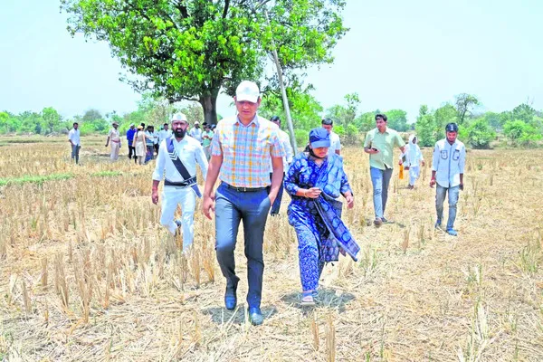పాసుపుస్తకాలు, సర్వే నంబర్ల మిస్సింగ్..
