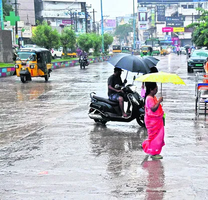 జిల్లాలో మోస్తరు వర్షం