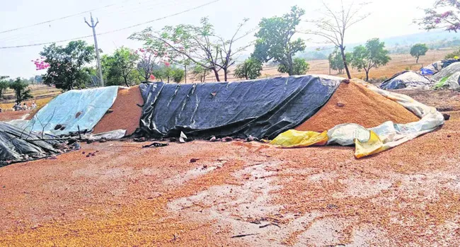 అకాల వర్షంతో రైతన్న ఆగమాగం