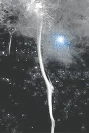 Astronomers found the cause of a fracture in a massive cosmic bone in the Milky Way5