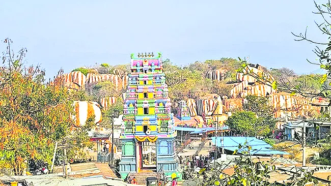 రెగ్య