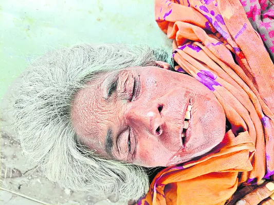 పర్యావరణ పరిరక్షణకు చర్యలు