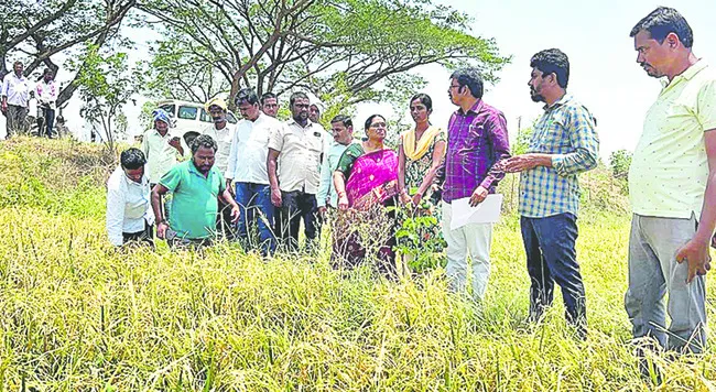 పంట నష్టం వివరాలు అందించండి