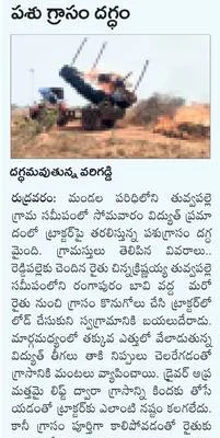 పులి