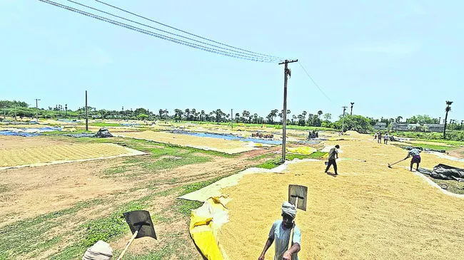 సర్కా