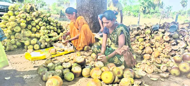 ఔషధ గ