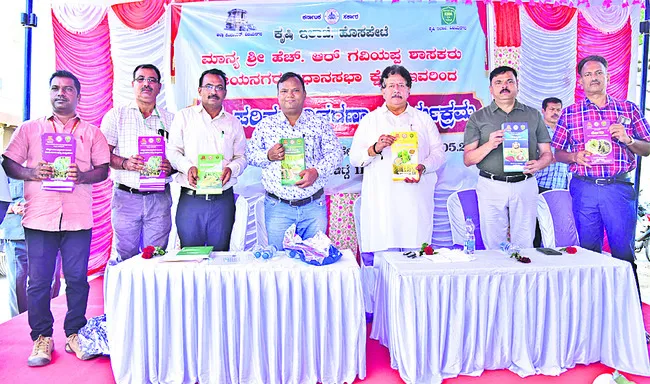 గ్రామ