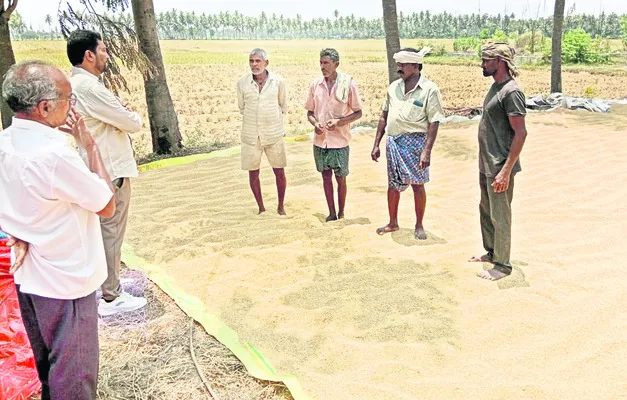 మొత్తం ధాన్యం కొనుగోలు చేయాలి