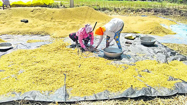 అకాల