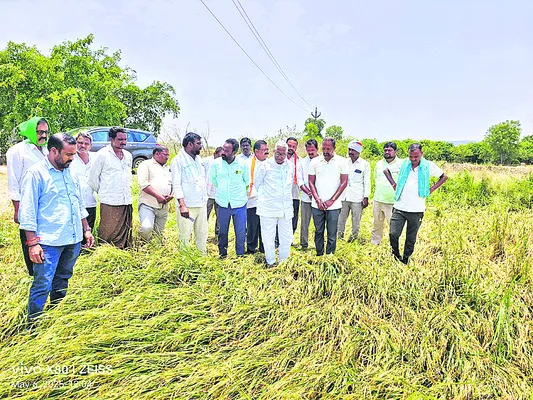 యూరియ