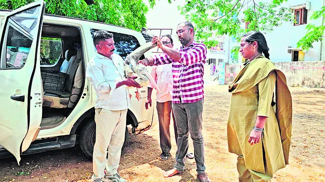 కేరళ