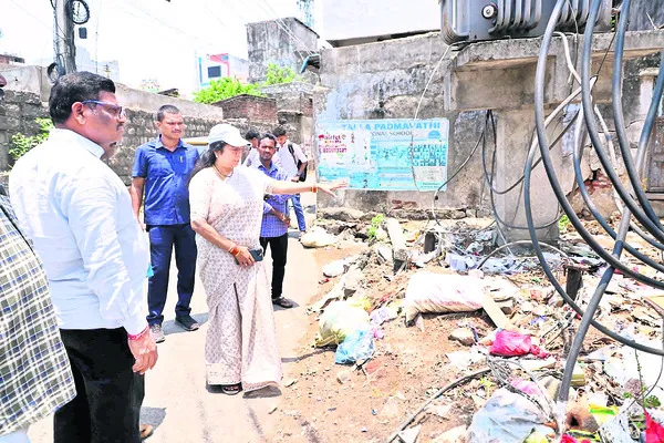 పారిశుద్ధ్య పనులు చేపట్టండి