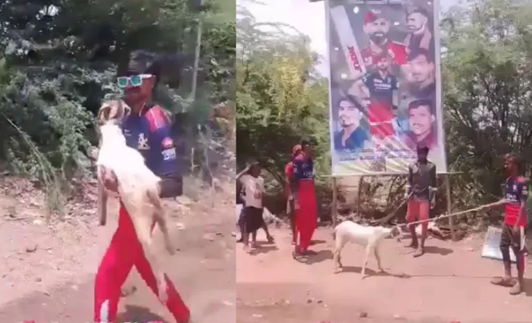 3 RCB Fans Arrested For Sacrificing Goat In Front Of Virat Kohli Cutout1