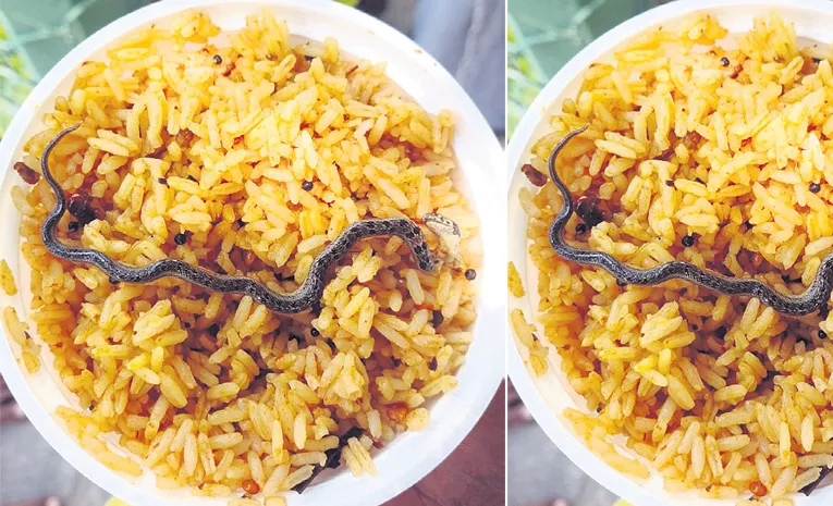 Snake Found in Temple Prasadam2
