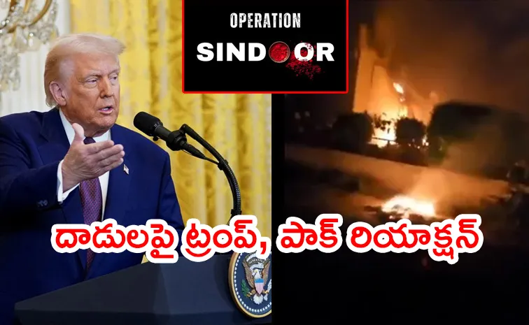 Pakistan And Donald Trump Reaction On Operation Sindoor