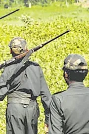 Encounter In Alluri District1