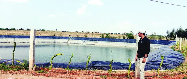 రెడ్డెప్పశెట్టికి ఉద్యాన ఉచ్చు 