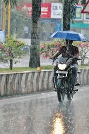 Heavy Rains In Andhra Pradesh6
