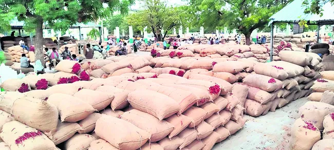 మిర్చి ధర పతనం