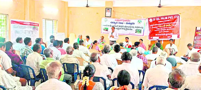 యాజమాన్య పద్ధతులతో అధిక దిగుబడి 