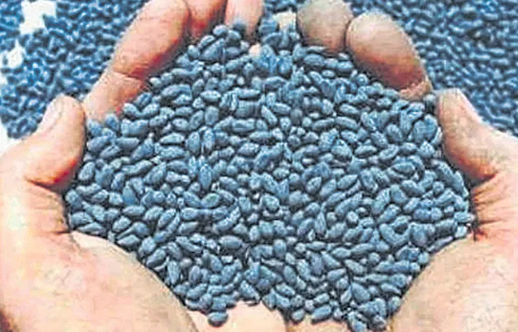 Black market creates demand for cotton seeds creating artificial shortages
