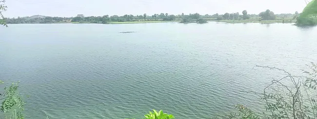 కరువు