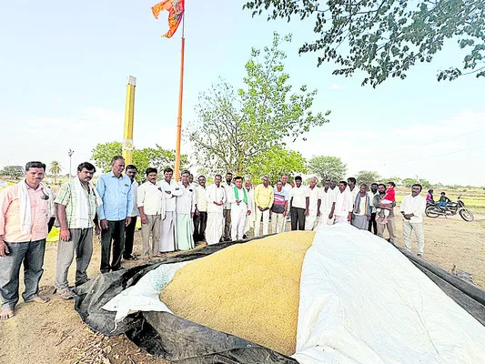 జొన్నలు కొనుగోలు చేయాలి