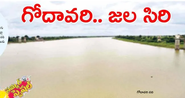 ● బాస