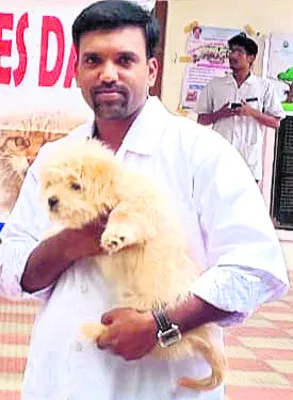 పశువులకు నీరందించాలి
