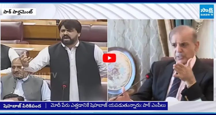 భారత్ అంటే వణుకు నిజం ఒప్పుకున్న పాక్ ఎంపీ
