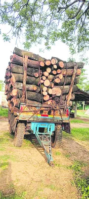 రైతు