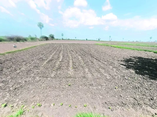ఒక్క వాన కోసం