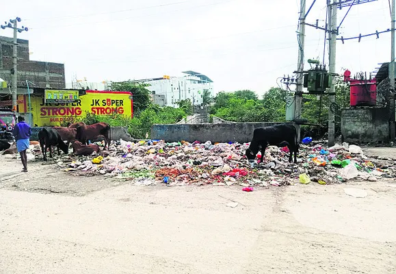 పడకేసిన పారిశుధ్యం