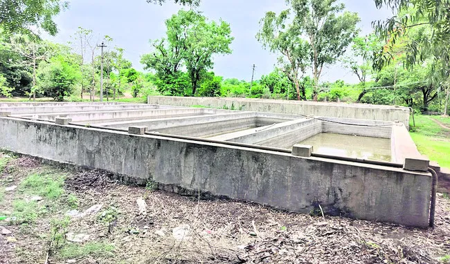 ‘నీలి