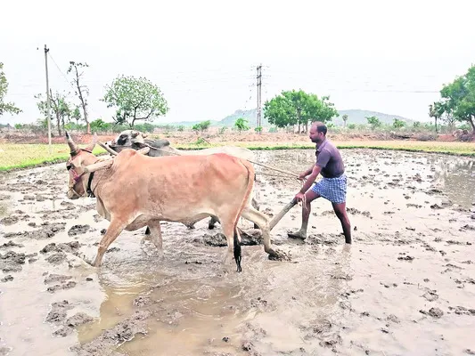 నేడే