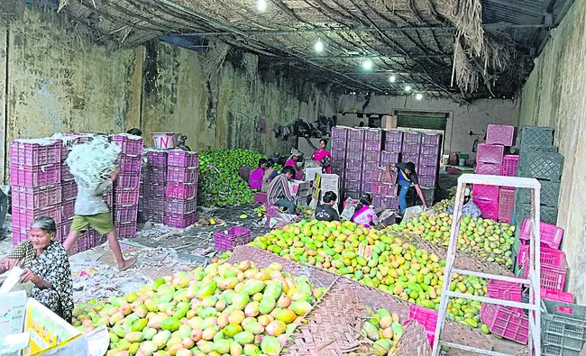 ● కొనేలేమంటున్న ఫ్యాక్టరీ నిర్వాహకులు ● అధికారులకు ఫిర్