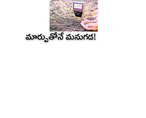బుధవా