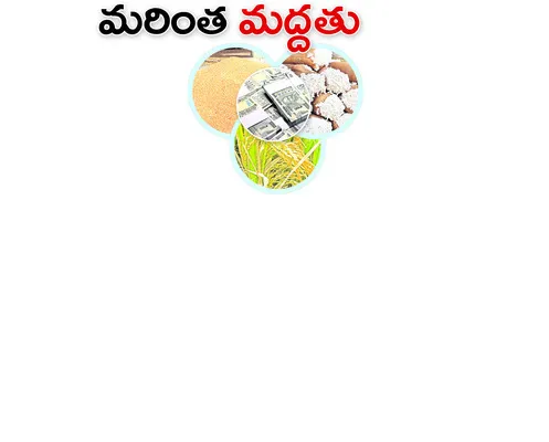 వరంగల