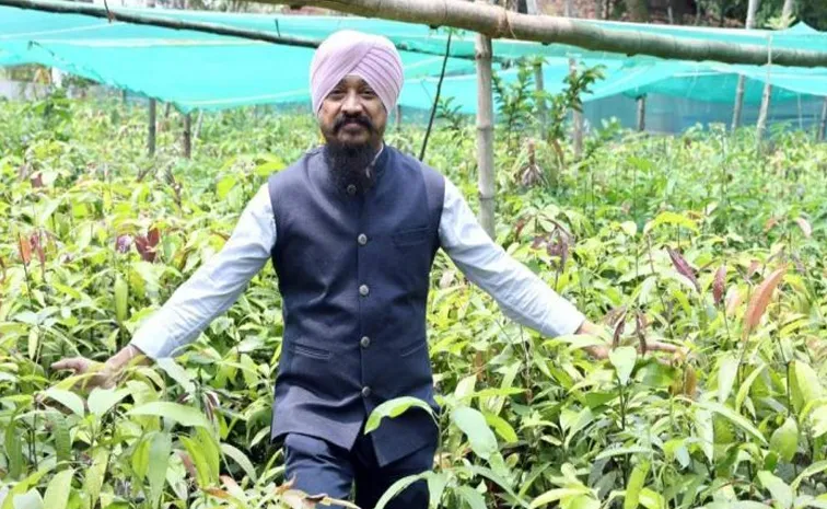 Jasmit Singh Arora మామిడి మొక్కలు ఉచితం! 