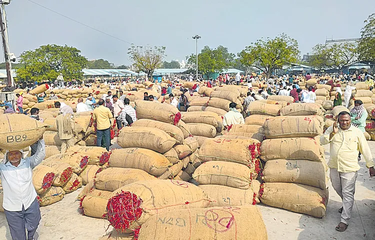 Chilli traders are lagging behind due to orders from China