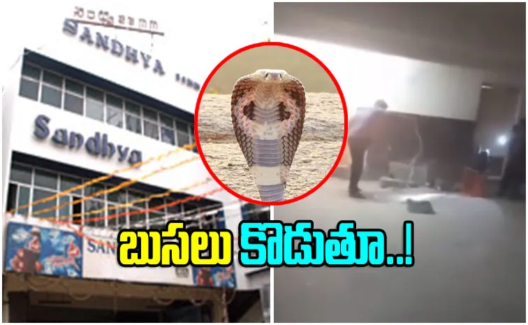 హైదరాబాద్‌ సినిమా థియేటర్‌లో పాముల కలకలం.. వీడియో వైరల్‌