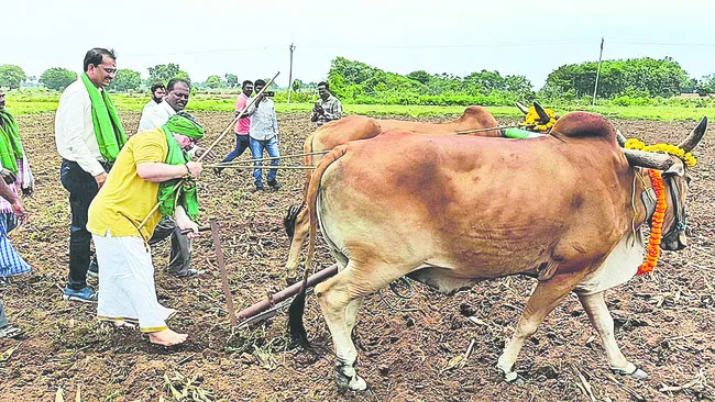 ఏరువా