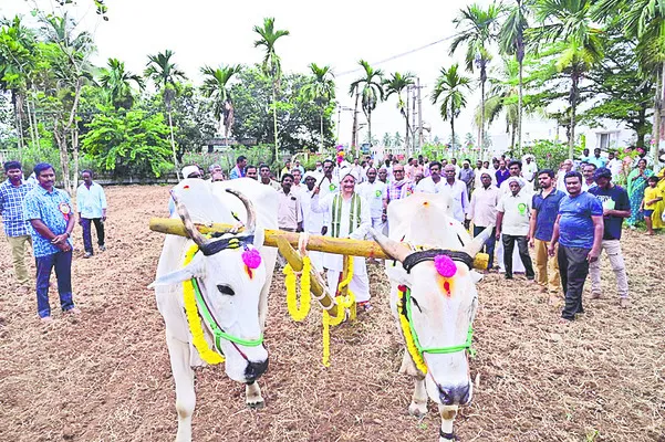 పంచ భూతాలను కాపాడుకోవాలి