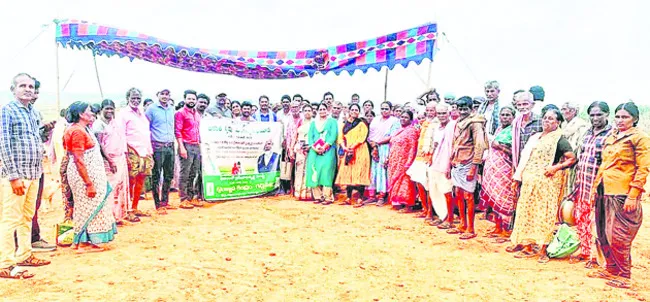 సాంకేతికతను జోడిస్తే అధిక దిగుబడి
