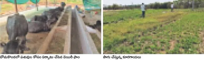 యువకు