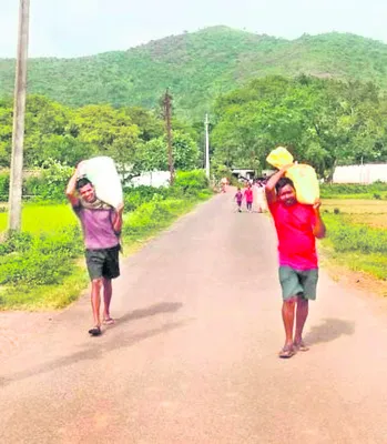 హామీల