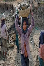 World Day Against Child Labour 2025: Theme And Significance12