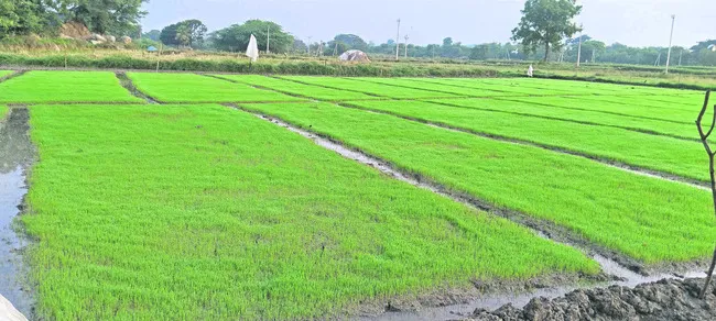 సాగర్