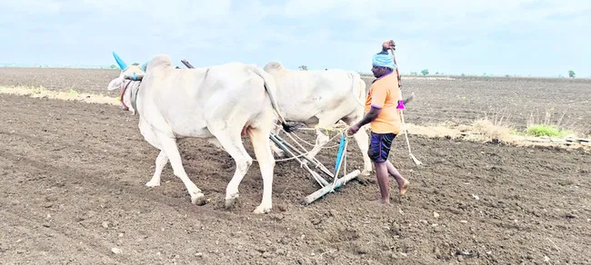 రైతు